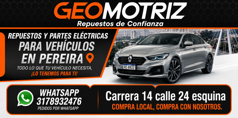 Geomotriz